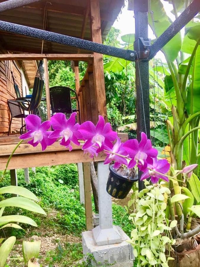 Lanta A Toi House Hotel Ko Lanta Buitenkant foto